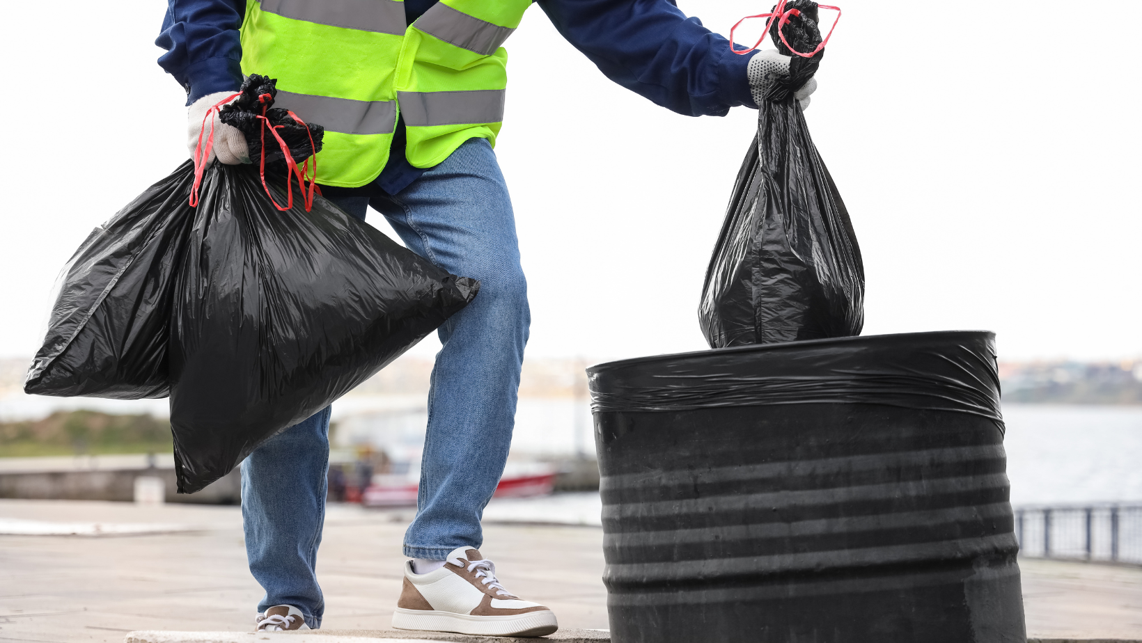 Divulgação / Canva