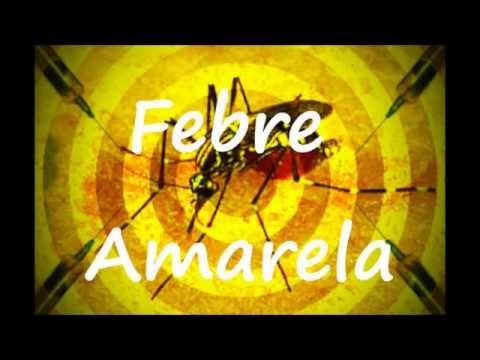 2017126_febre_amarela_imagem